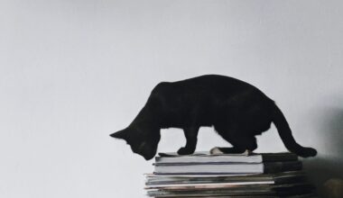 A cat gets caught up in the fray around Lithuania's public broadcaster; president outraged by the nonsense