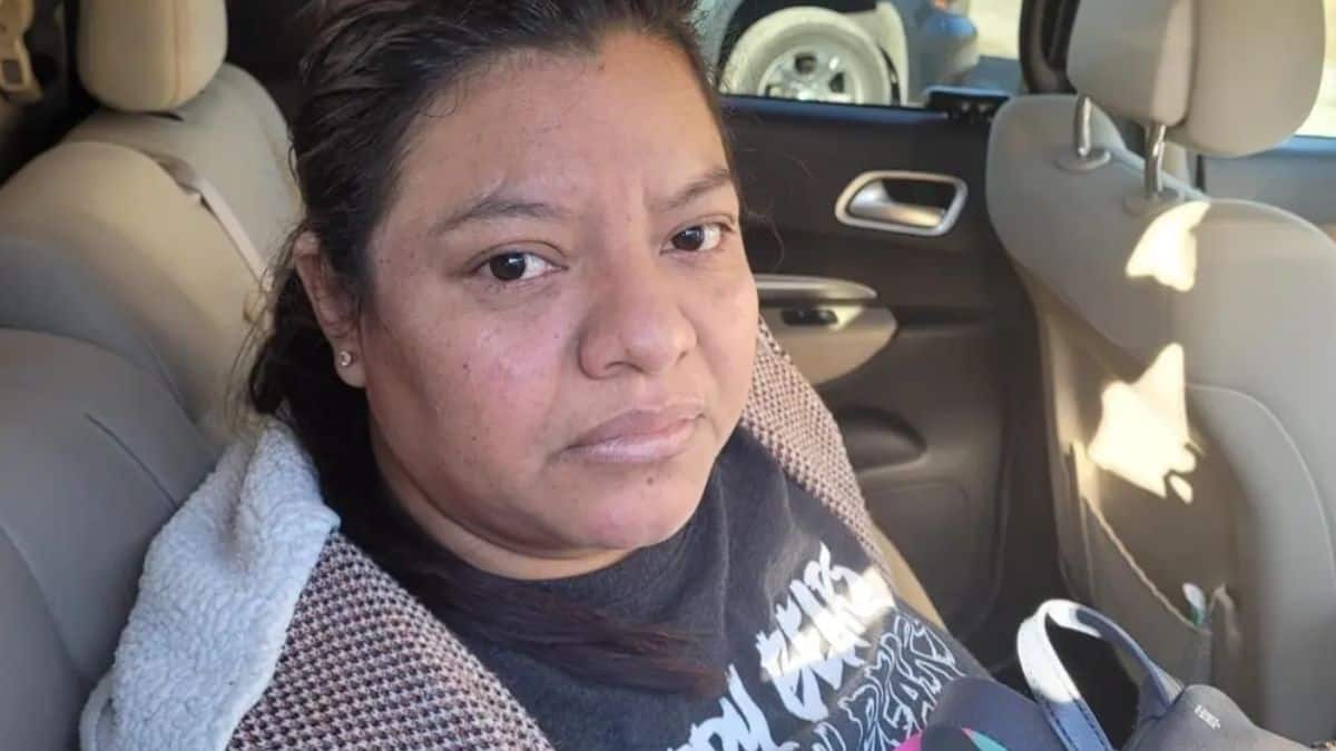 'Unlucky' illegal immigrant runs red light, crashes into ICE vehicle – Firstpost