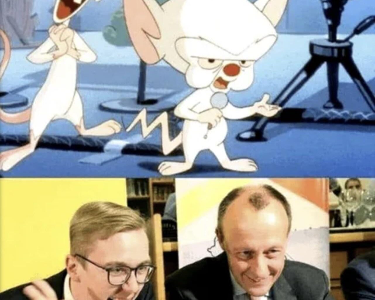 Pinki und the Brain haben menschliche Gestalt angenommen 😂