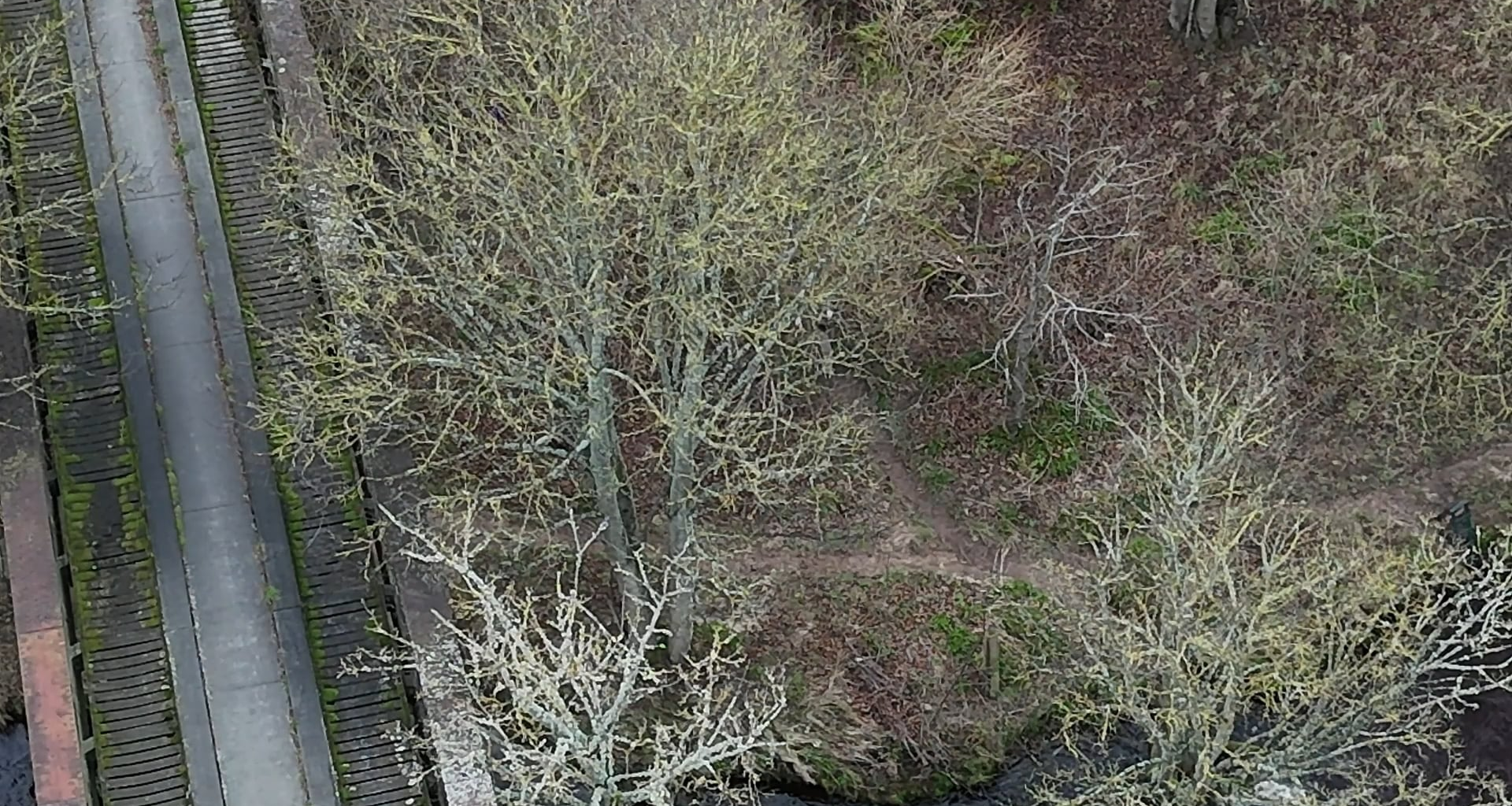 Spey Viaduct collapse
