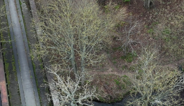 Spey Viaduct collapse