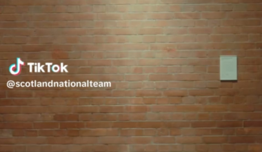 The goal is hanging up in the National Galleries until January 5th