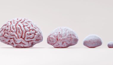 Scientists Discovered the Human Brain Goes On a Life-Long ‘Eras Tour’