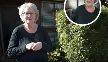 Is this doable in Lux?