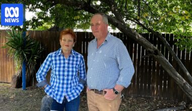 Barnaby Joyce likens One Nation to Reform UK party under Nigel Farage