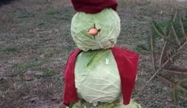 Lepszego w tym roku nie ulepię. A jak sytuacja u Was?