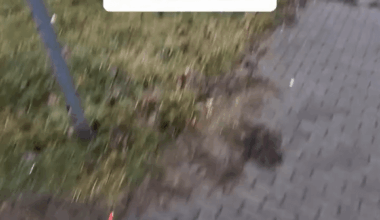 Crossing the street when someone blocks the crosswalk in Poland