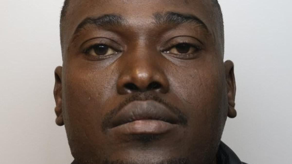 Hero bus passengers save teenage girl, 17, from being kidnapped by Sudanese migrant