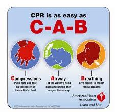 Prince William Living