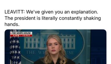 Lie Levels: North Korea