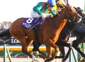 Japan Cup hero Calandagan on top of the world as he claims #1 spot on global rankings | Topics: Tokyo Racecourse, Mickael Barzalona, Aga Khan Studs, TRC Global Rankings, Japan Cup, Japan Racing Association, Francis Graffard, Calandagan, JRA