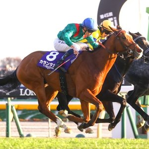 Japan Cup hero Calandagan on top of the world as he claims #1 spot on global rankings | Topics: Tokyo Racecourse, Mickael Barzalona, Aga Khan Studs, TRC Global Rankings, Japan Cup, Japan Racing Association, Francis Graffard, Calandagan, JRA