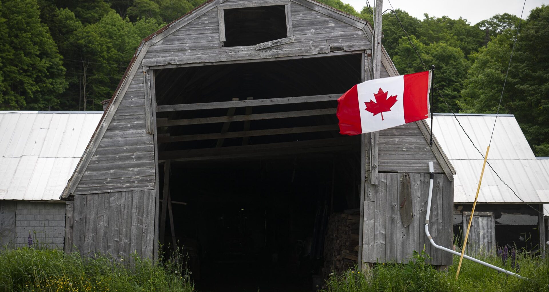 ‘A costly unforced error’: Vermont Legislature’s top economist slams Trump’s trade war