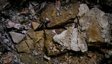 AI-powered satellites point to a massive lithium resource at a Canadian project