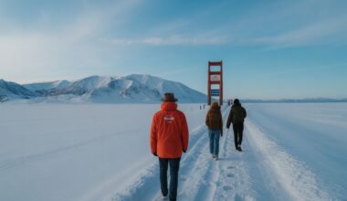 Canada, Mexico, France, Italy, Spain, Japan, and Australia Driving Record Winter Tourism for U.S. Travellers Your Complete Guide to Holiday and Year-End Escapes