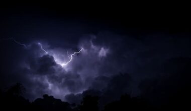 Saturday soaking in the South