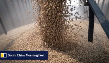 China’s food-security push to slash soy imports by two-thirds in a decade: Goldman Sachs