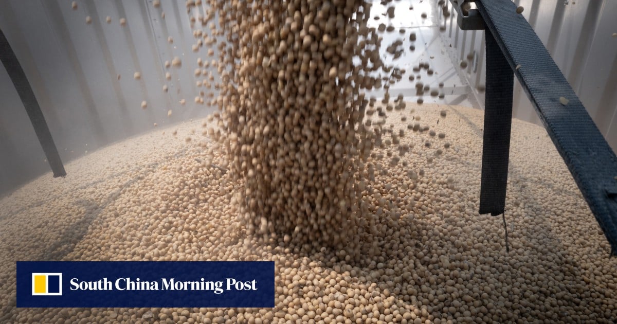 China’s food-security push to slash soy imports by two-thirds in a decade: Goldman Sachs