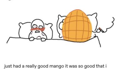 Le fils de son père a donc un tumblr