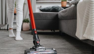 Product-as-a-Service: a consumer model for a more circular economy