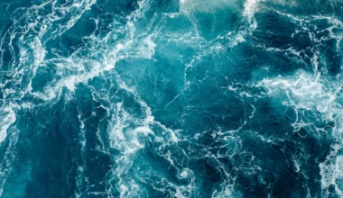 Researchers solve a century-old North Atlantic cold spot mystery