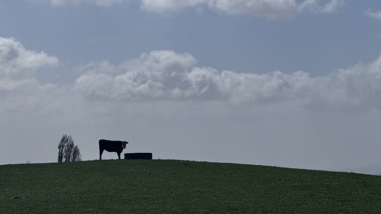 People alert: Reaching the outskirts of Auckland. 