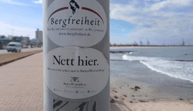 Germans are everywhere fr lol