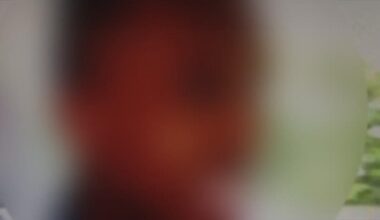 Har før dræbt sin mor: Kastede lillebror i døden [Samme gerningsmand - en 32-årig dansk statsborger af somalisk afstamning - blev i 2014 dømt til psykiatrisk anbringelse på ubestemt tid]