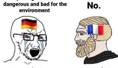 Smartest Merkel's policy