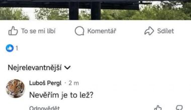 Dezinformace mezi dezinformátory