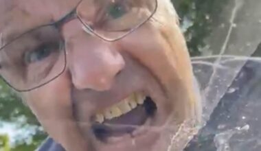 'Britain's angriest man' who screamed abuse at female motorist after she beeped at him is jailed over fresh outburst at a mum and her newborn baby