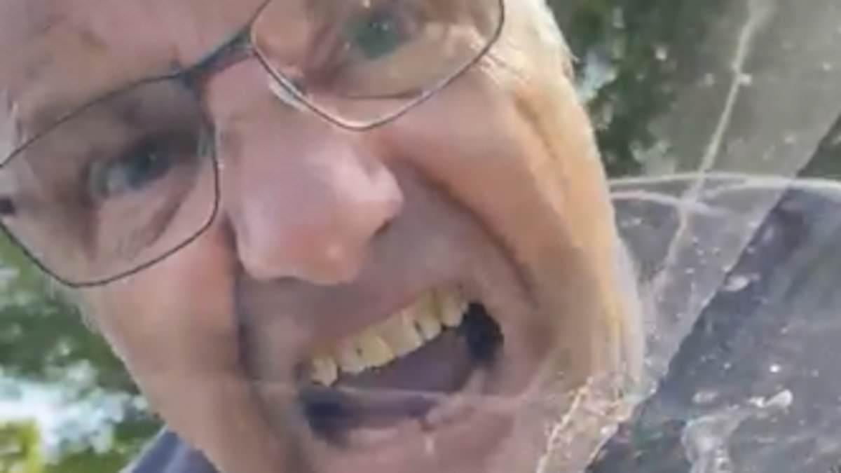 'Britain's angriest man' who screamed abuse at female motorist after she beeped at him is jailed over fresh outburst at a mum and her newborn baby