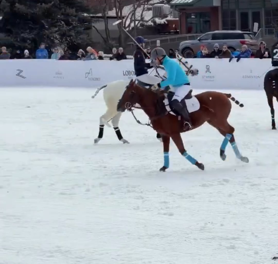 Prince Harry was introduced as Harry Wales at his latest polo match, months after Meghan said their surname was Sussex now.