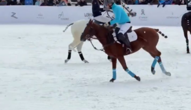 Prince Harry was introduced as Harry Wales at his latest polo match, months after Meghan said their surname was Sussex now.