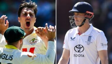 Australia vs England, Adelaide Test day four talking points, Harry Brook, Pat Cummins, video, highlights, cricket news