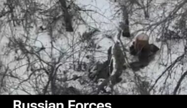 Russian soldiers execute two captured Ukrainian soldiers in Donetsk region