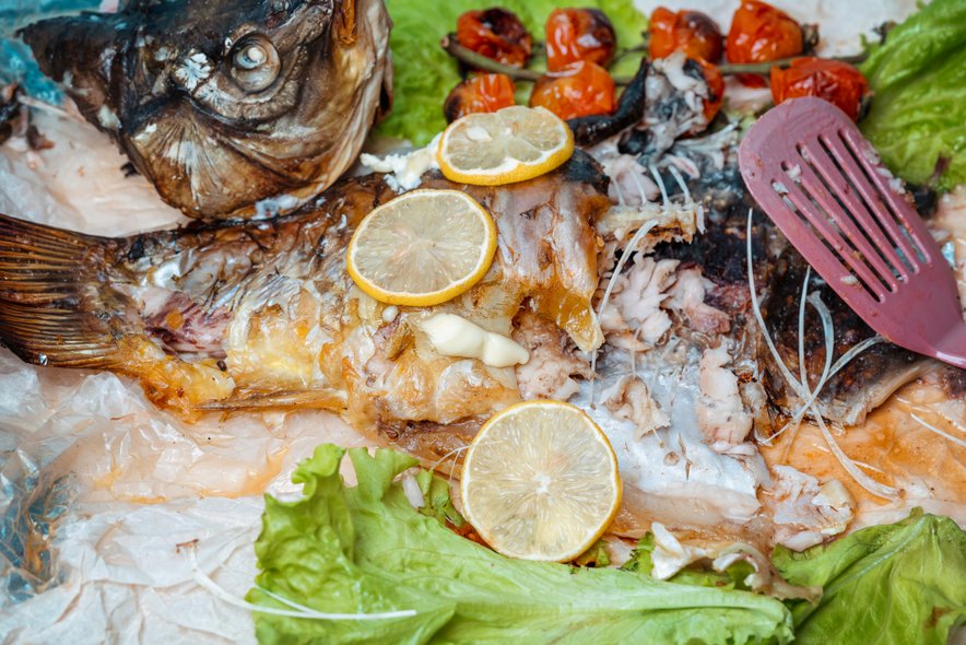 Pogosto pripravimo več hrane, kot jo lahko pojemo.