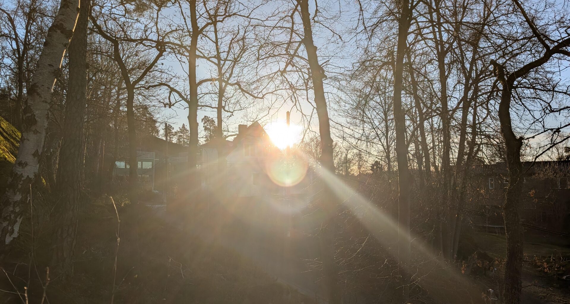 Ironiskt att årets mörkaste dag också tycks bli den ljusaste på länge.