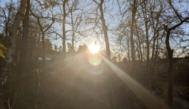 Ironiskt att årets mörkaste dag också tycks bli den ljusaste på länge.