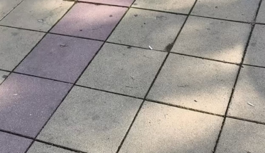 Страхува ли го народа?