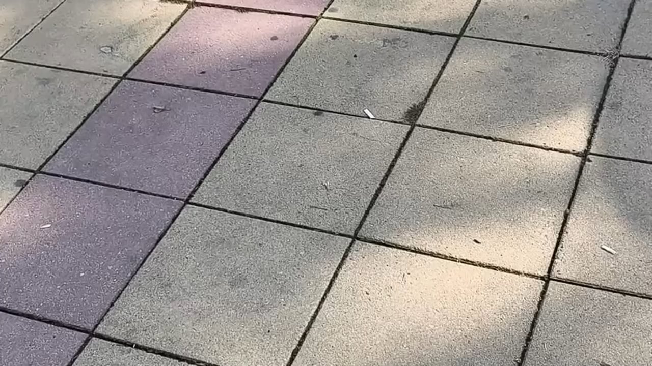 Страхува ли го народа?