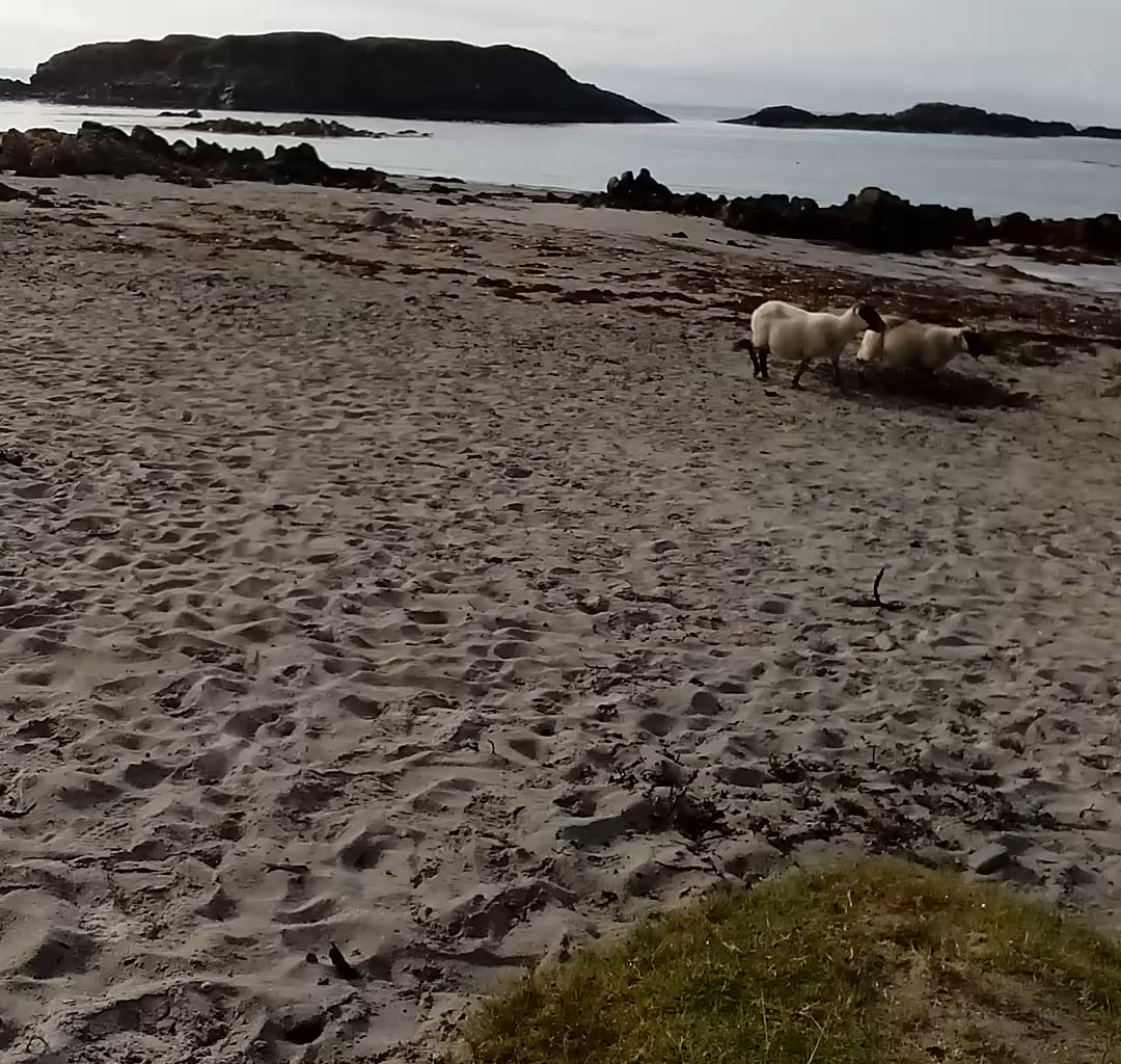 Isle of Mull is something else.