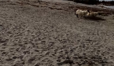 Isle of Mull is something else.