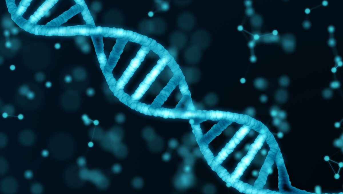 The Human Genome Has Been Mapped In 4D