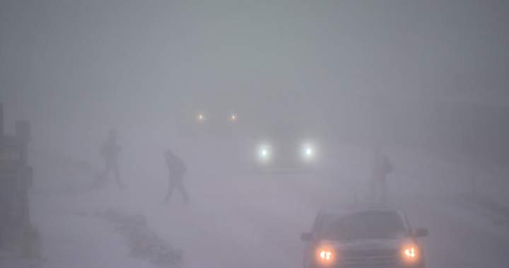 RCMP warn against travel on all Alberta roads amid whiteout conditions
