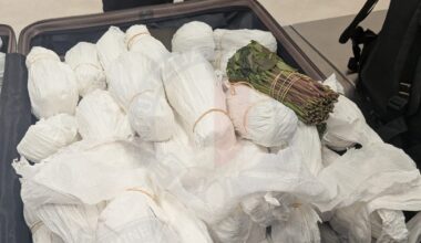 51-year-old man arrested at Malta Airport with suspected khat
