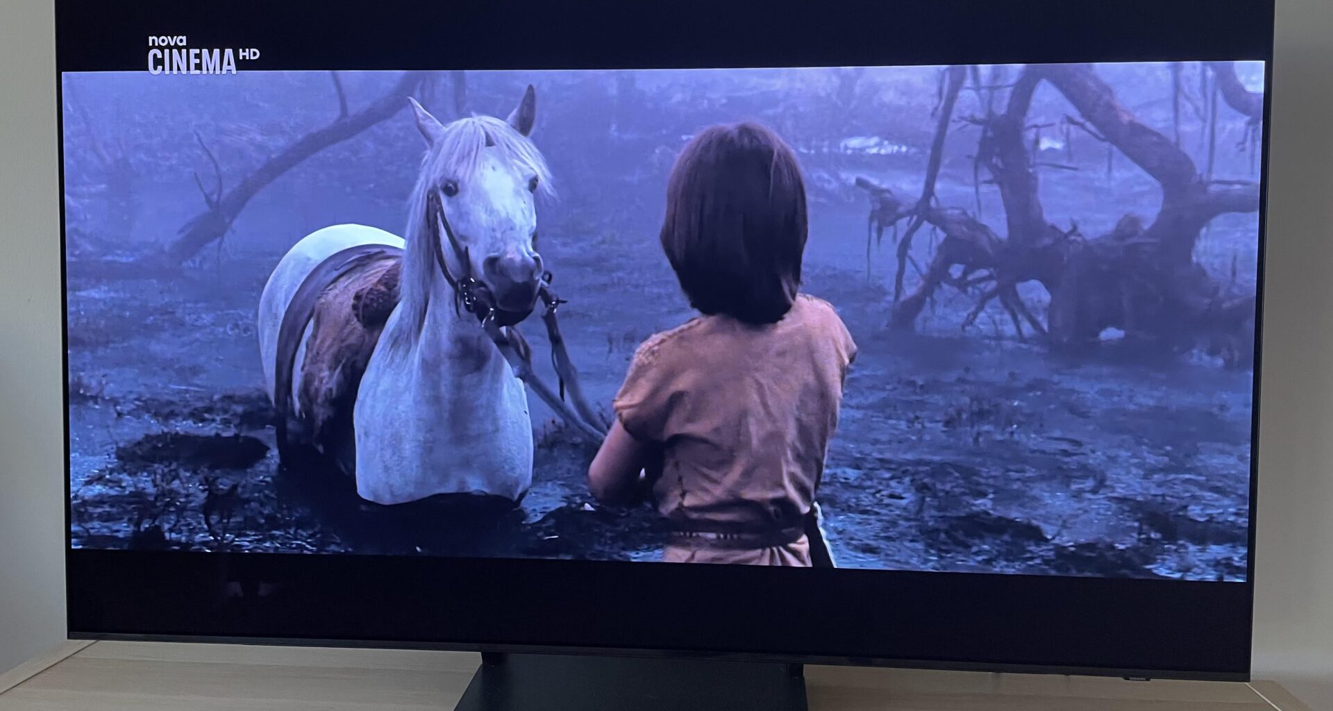 Zrovna jsem si pustil bednu, že si dám nějakou veselou pohádku…