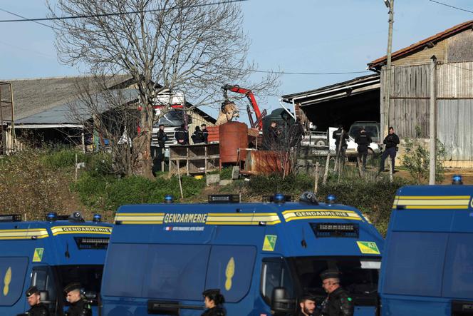 French gendarmes watch the removal of a body of a cow on a farm affected by lumpy skin disease (LSD) in Les-Bordes-sur-Arize, in the Ariège department of southwestern France, on December 12, 2025. 