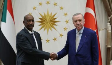 Türkiye's Erdogan meets Sudan's Burhan in Ankara