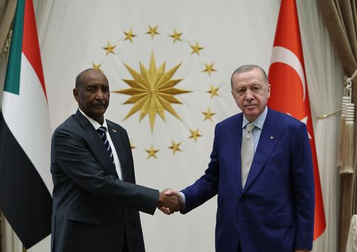Türkiye's Erdogan meets Sudan's Burhan in Ankara